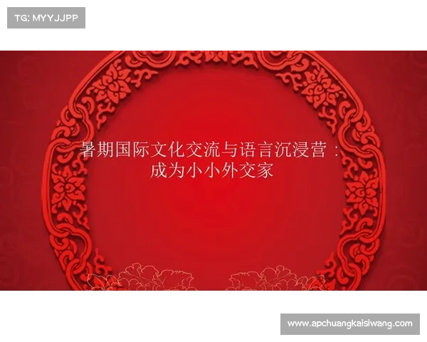 以巴舒亚伊为例探讨多语种背景下的语言能力与跨文化交流技巧